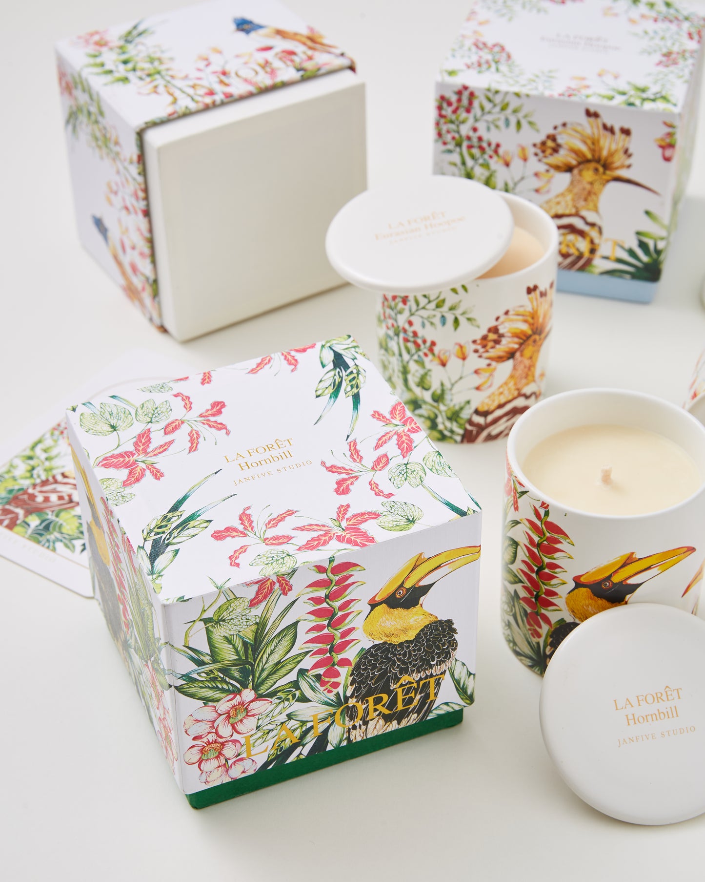 Janfive Studio candle - LA FORÊT - Hornbill